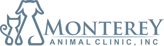 Monterey Animal Clinic